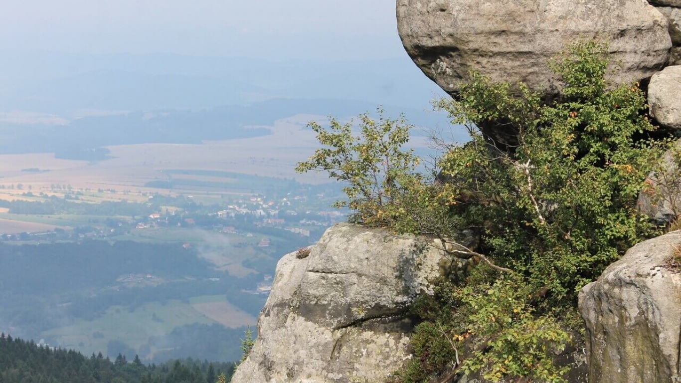 Szczeliniec Wielki – najwyższy szczyt Gór Stołowych