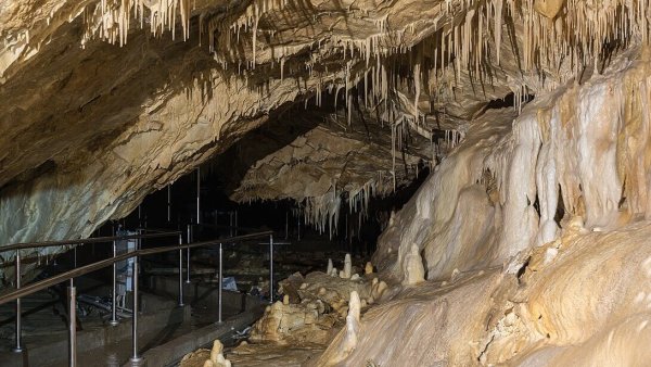 Dlaczego warto odwiedzić Jaskinię Niedźwiedzią w Kletnie?