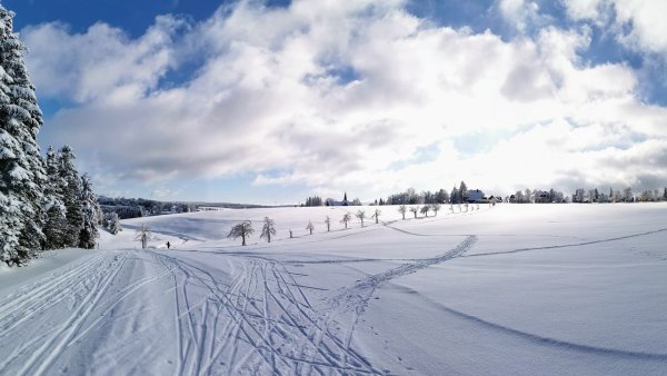 Jamrozowa Polana w Dusznikach – raj dla miłośników narciarstwa biegowego