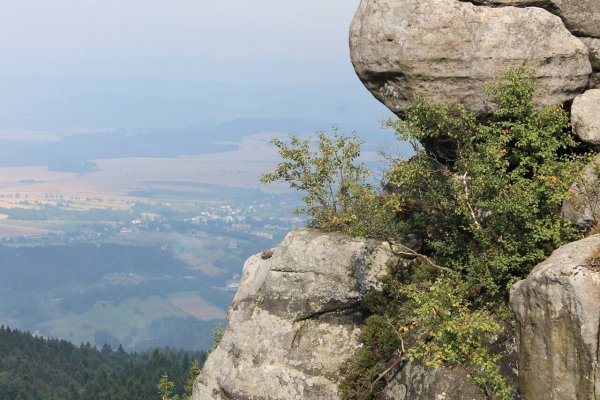 Szczeliniec Wielki – najwyższy szczyt Gór Stołowych