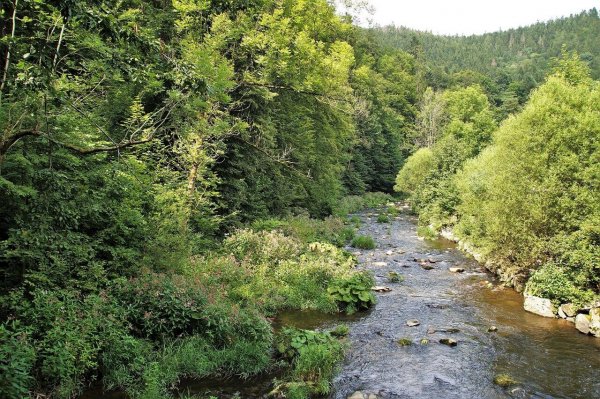 Orlica – perła Gór Orlickich. Atrakcje i szlaki