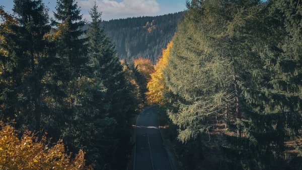 Mikroklimat Zieleńca, czyli kierunek – zdrowie!