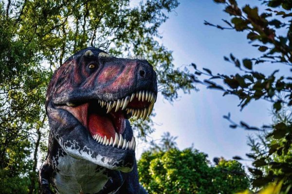 Park Dinozaurów w Karłowie – wyjątkowa atrakcja dla dzieci i nie tylko