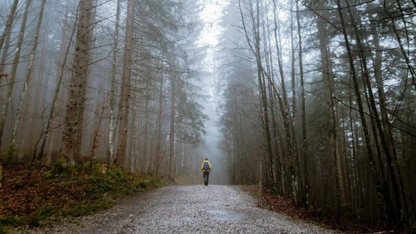 Wielka Desztna – najwyższy szczyt Gór Orlickich